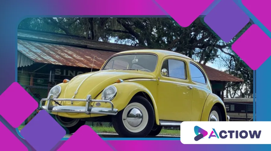 shape of the Volkswagen Beetle